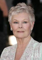 朱迪-丹奇 朱迪-丹奇