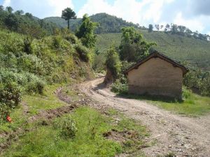 外勐澇村 外勐澇村