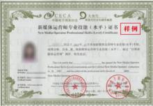 新媒體運營師專業技能（水平）認證