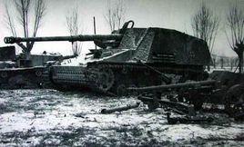 日耳曼“犀牛”自行反坦克炮 日耳曼“犀牛”自行反坦克炮