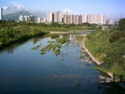 （圖）香港上水