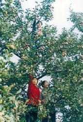 北京鄉間情趣園 北京鄉間情趣園