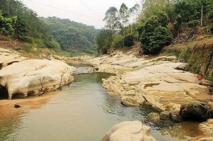 福田生態旅遊區 福田生態旅遊區