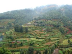 閘塘岔河村 閘塘岔河村