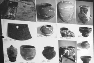 江蘇草鞋山遺址（距今6000年前）