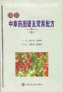 新編中草藥圖譜及常用配方4 新編中草藥圖譜及常用配方4