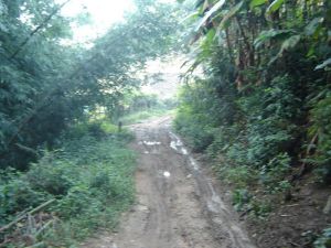 南模上寨村 南模上寨村