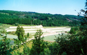 福寶山開發區 福寶山開發區