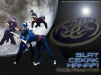 馬來武術 馬來武術