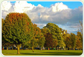 秋天公園拼圖 秋天公園拼圖