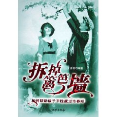 拆掉籬笆牆 拆掉籬笆牆