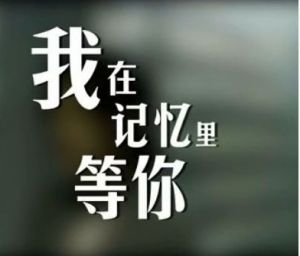 我在記憶里等你