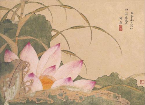 荷花圖[清代謝蓀創作紙本設色畫]