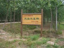 三莊墓群 三莊墓群