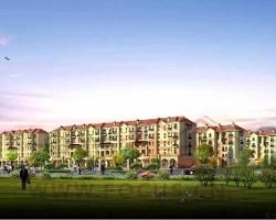 金石明珠 金石明珠