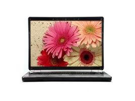 神舟優雅 A350-T44 D2 神舟優雅 A350-T44 D2