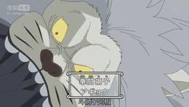 斗獅子阿椒 斗獅子阿椒