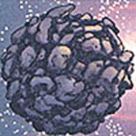 科瓦德星 科瓦德星