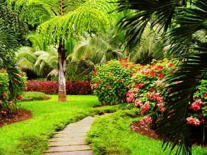中國科學院西雙版納熱帶植物園