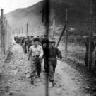 1952年6月11日 1952年6月11日