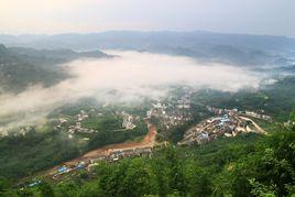 大龍華鄉 大龍華鄉