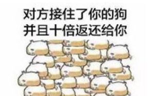 對方接住了你的狗