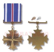 飛行優異十字勳章