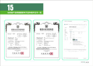 韓國國家種子保護證書一覽