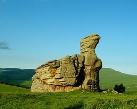 草原石林 草原石林