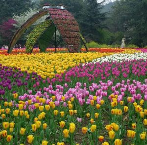 三易花卉園 三易花卉園