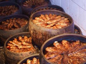 廣府酥魚 廣府酥魚