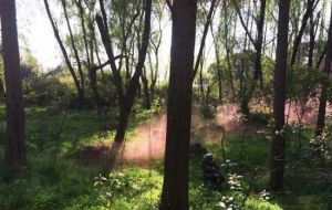 智勇特訓營 智勇特訓營