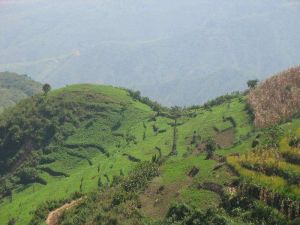 新鳳港下寨村 新鳳港下寨村