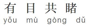 有目共睹 有目共睹