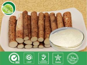 薯蕷提取物 薯蕷提取物