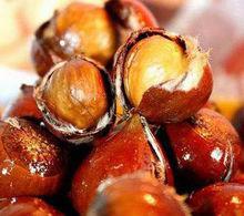 栗[殼斗科栗屬植物]