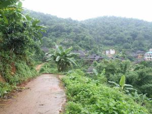 曼戈播村 曼戈播村