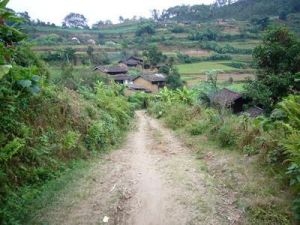 滴水箐自然村 滴水箐自然村