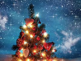 聖誕夜[基督教社會傳統節日]