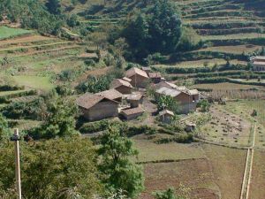 花牛石村 花牛石村