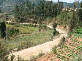 期路白苗族鄉 期路白苗族鄉