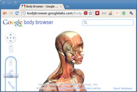 Google人體瀏覽器