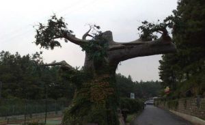 天藍地綠生態旅遊農莊 天藍地綠生態旅遊農莊