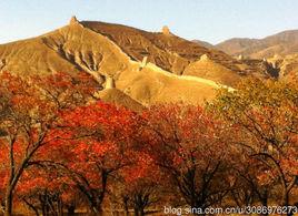 乳頭山村 乳頭山村