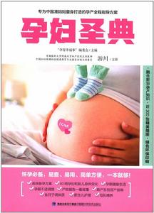 孕婦聖典 孕婦聖典