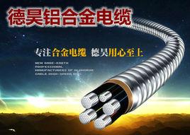 河北德昊電纜有限公司 河北德昊電纜有限公司