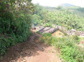 打煙場自然村 打煙場自然村