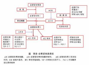假性醛固酮減少症
