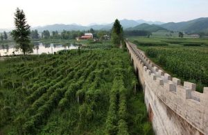 蘇子溝鎮 蘇子溝鎮