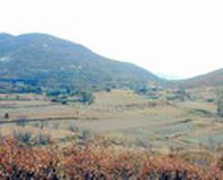 琉璃窯遺址 琉璃窯遺址